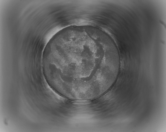 X0000100501487200806271248