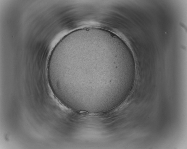 X0000100501488200806271248