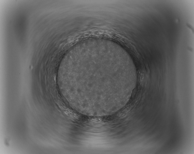 X0000100501489200806271247