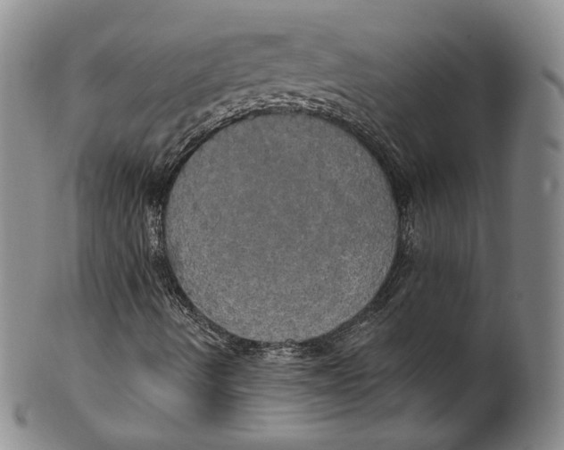 X0000100501490200806271247