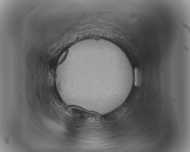 X0000100501491200806271247