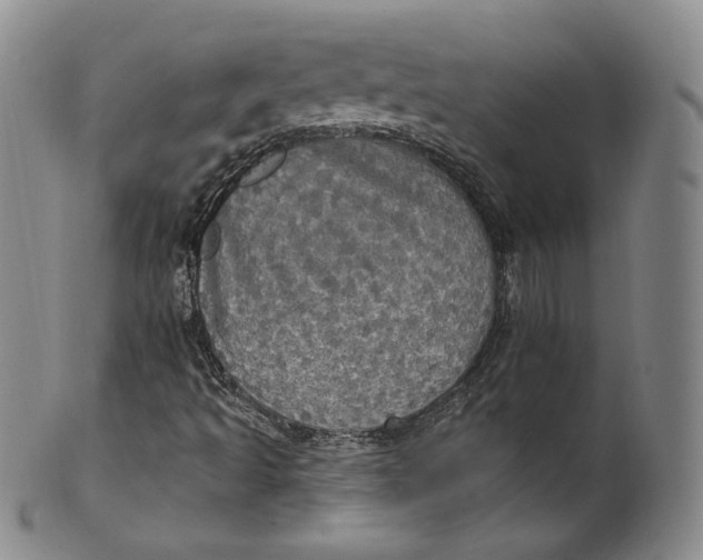 X0000100501493200806271247