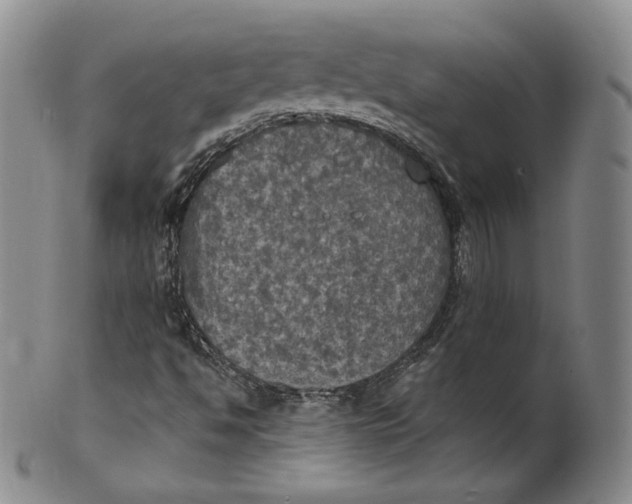 X0000100501494200806271247