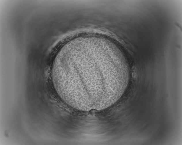 X0000100501495200806271247