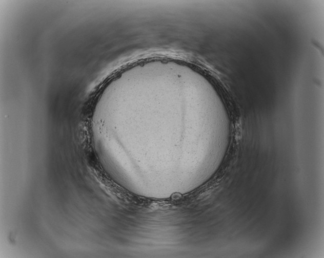 X0000100501496200806271247