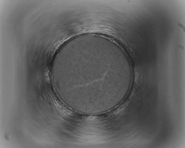 X0000100501497200806271247