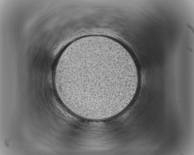 X0000100501498200806271247