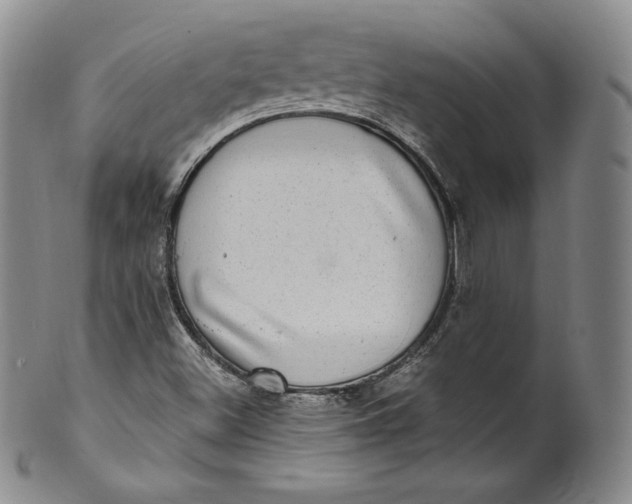 X0000100501500200806271247