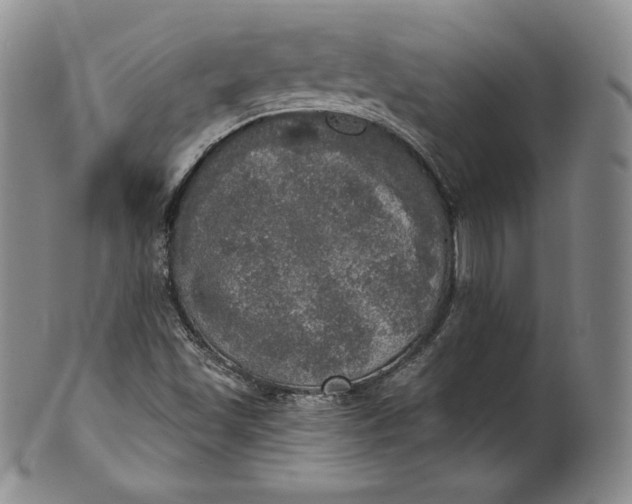 X0000100501501200806271247