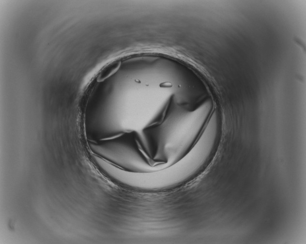 X0000100501502200806271247