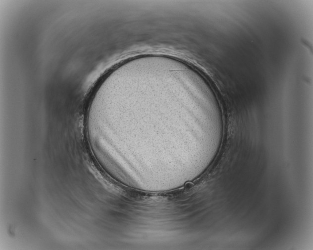 X0000100501503200806271247