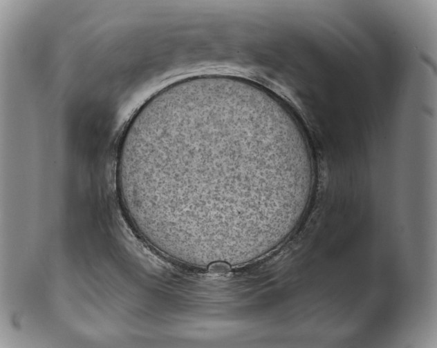 X0000100501504200806271247