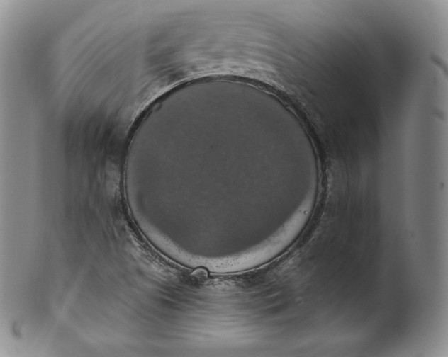 X0000100501505200806271247