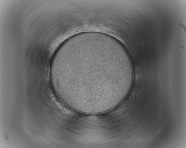 X0000100501507200806271247