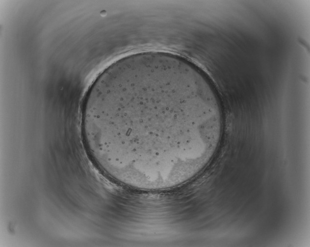 X0000100501508200806271247