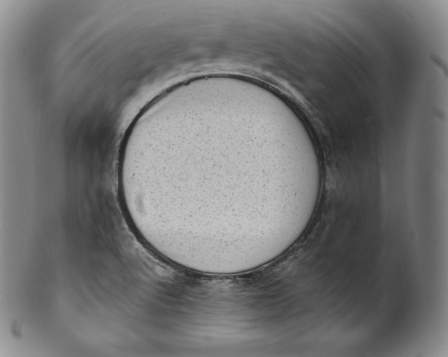 X0000100501512200806271248