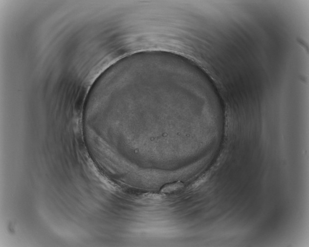 X0000100501513200806271248