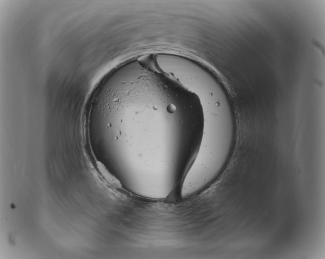 X0000100501514200806271248