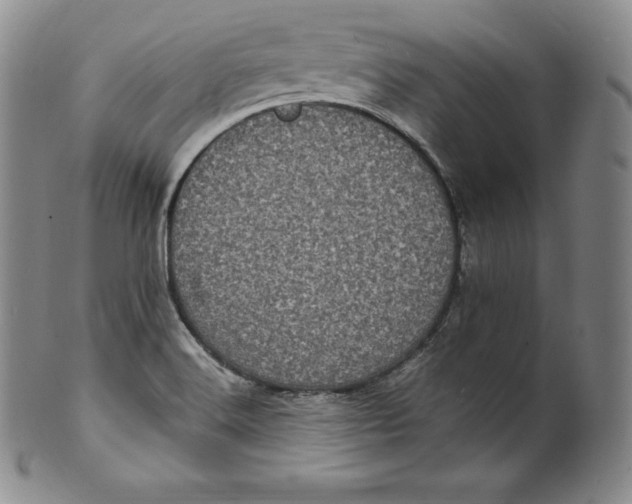 X0000100501516200806271248