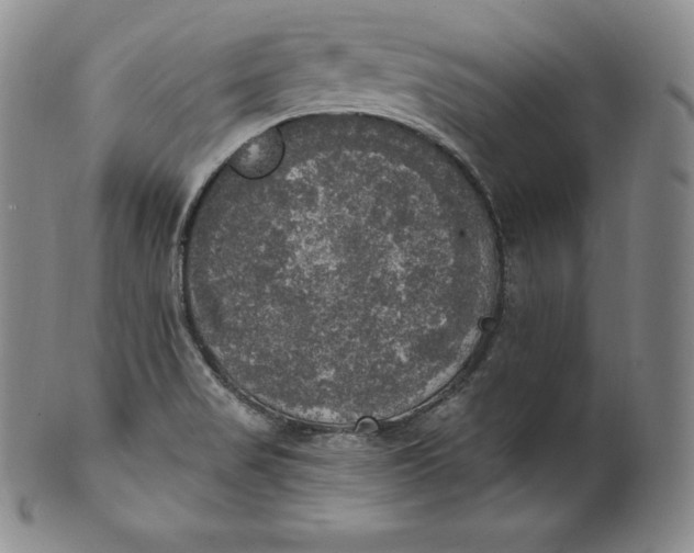 X0000100501517200806271248