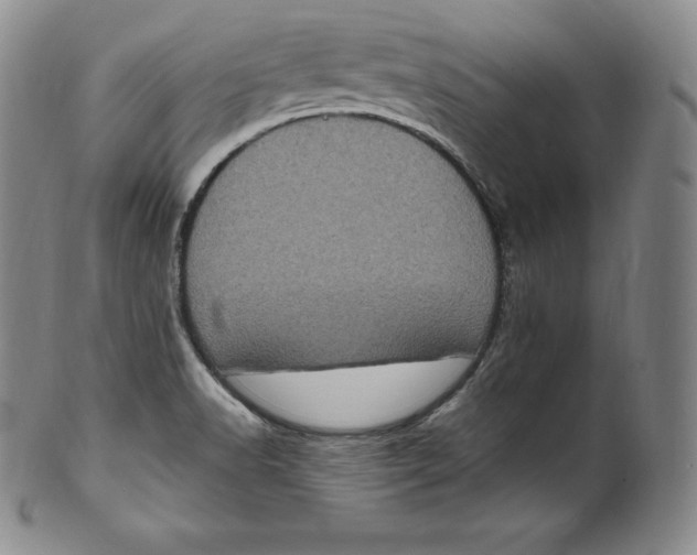 X0000100501518200806271248