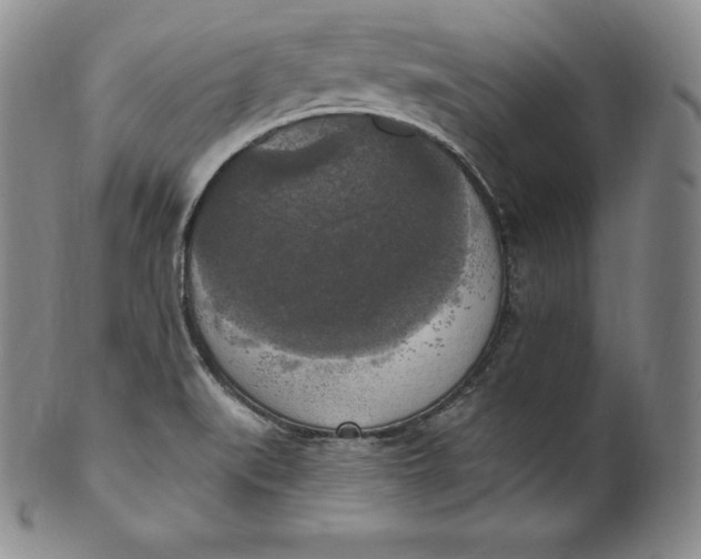 X0000100501519200806271248