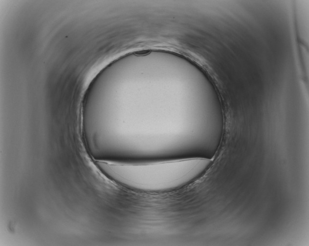 X0000100501520200806271248