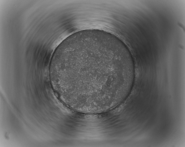 X0000100501521200806271248