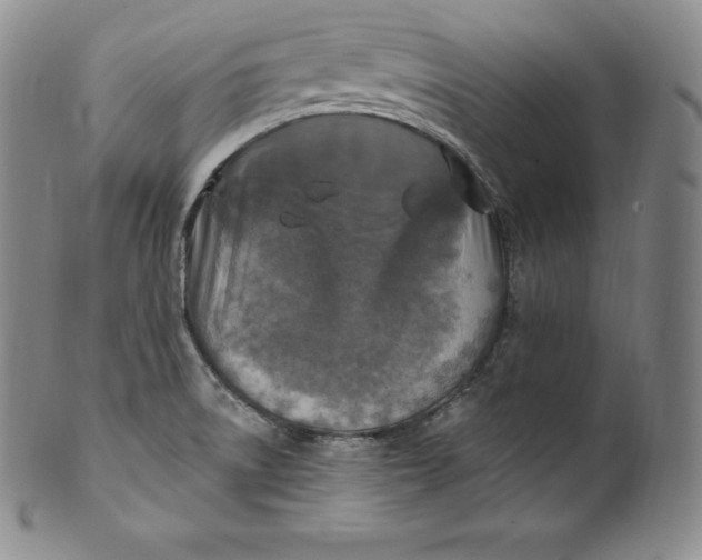 X0000100501522200806271248