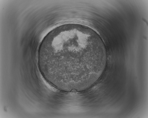 X0000100501523200806271248