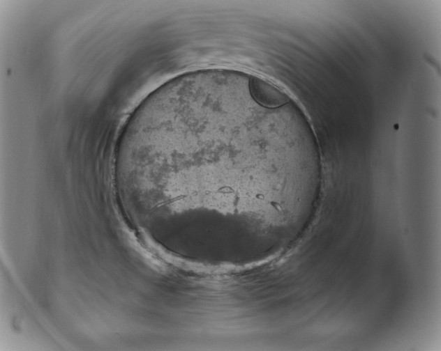 X0000100501525200806271248