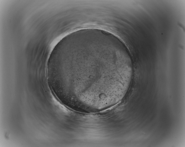 X0000100501527200806271248