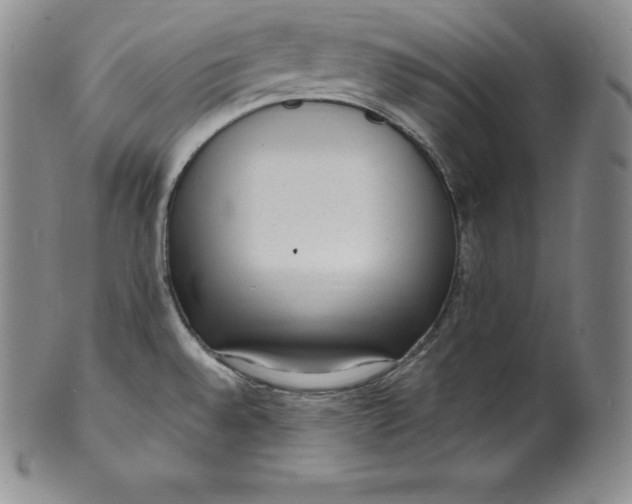 X0000100501528200806271248