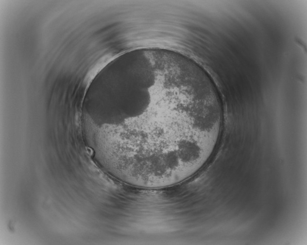 X0000100501529200806271248