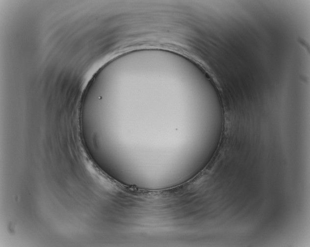 X0000100501530200806271248