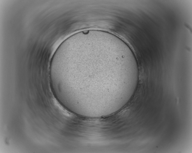 X0000100501532200806271248