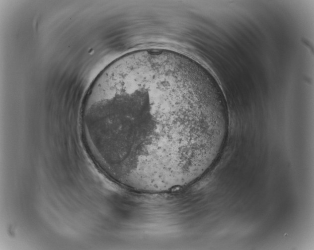 X0000100501533200806271248