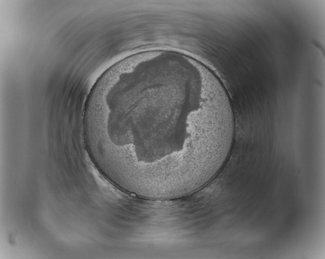 X0000100501534200806271248