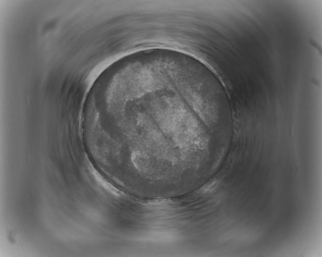 X0000100501535200806271248