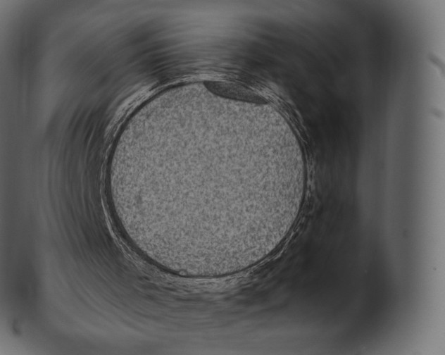 X0000100500001200807031951