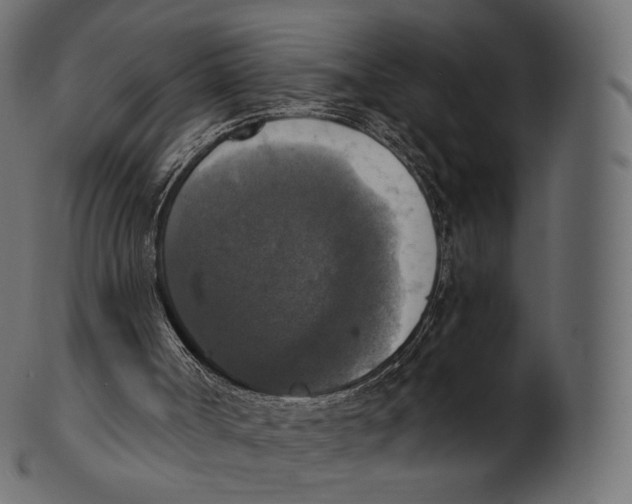 X0000100500002200807031951