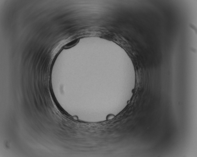 X0000100500003200807031951