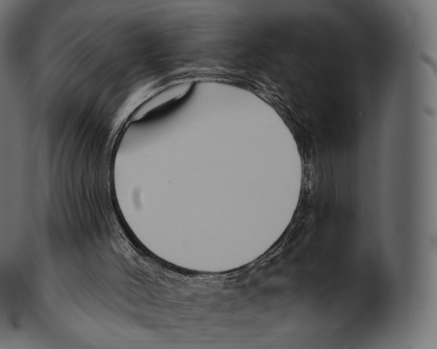 X0000100500004200807031951