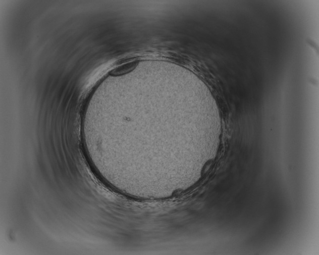 X0000100500005200807031951