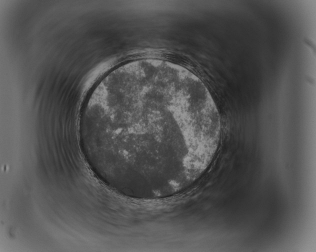 X0000100500006200807031951