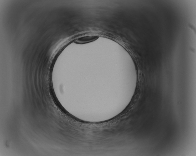 X0000100500007200807031951