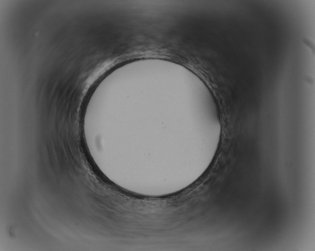 X0000100500008200807031951