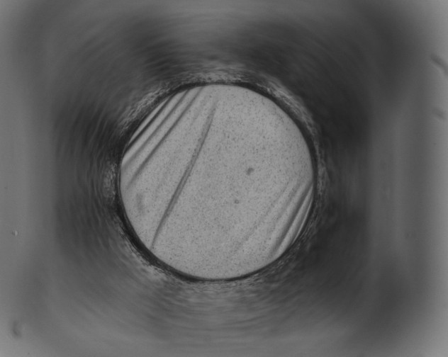 X0000100500009200807031951