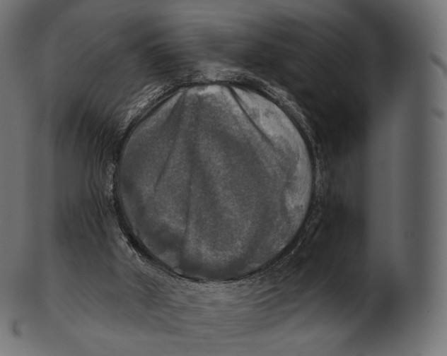 X0000100500010200807031951