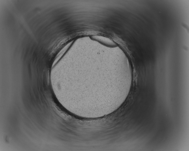 X0000100500013200807031951